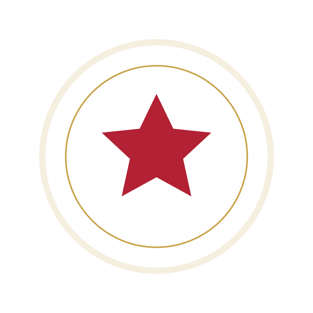 visaworker.ai Dark mark (PNG)